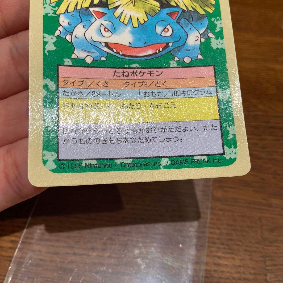トップサン ポケモンカード 当時物 裏青 フシギバナ フシギダネ