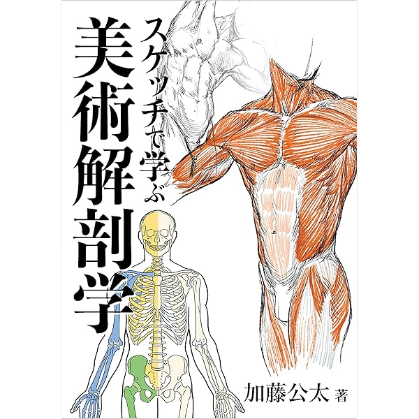 Amazon.co.jp: ゴットフリード・バメスの美術解剖学 eBook : ゴット