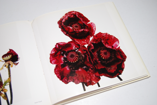 FLOWERS Irving Penn アーヴィング・ペン 写真集 - 古本買取 2手舎