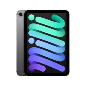 Apple iPad mini 第7世代 Wi-Fi 512GB MYGY3JA スペースグレイ【お