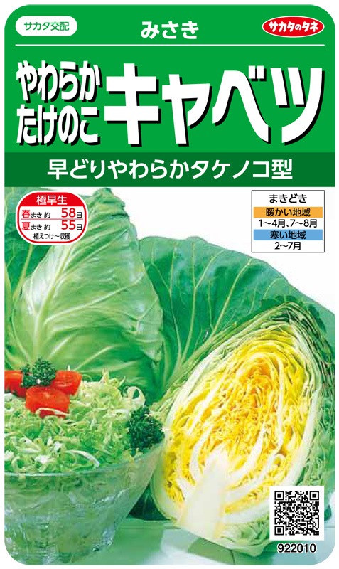 サカタのタネ キャベツ種子 みさき【取り寄せ注文】※通年商品 | 小林