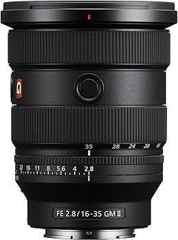 Amazon.co.jp: SONY(ソニー) 広角ズームレンズ フルサイズ FE 16-35mm