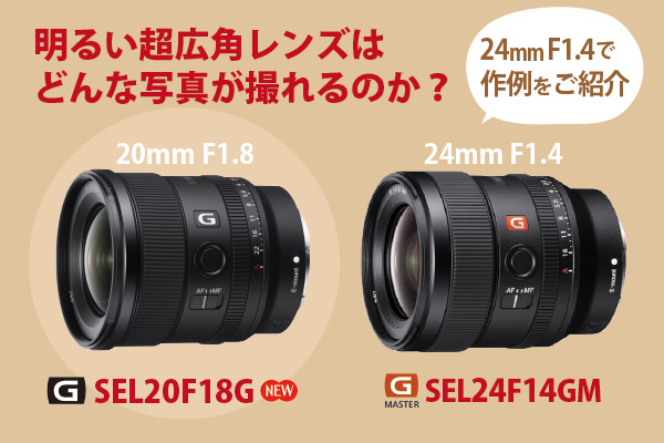 SEL20F18G』開梱レビュー - ONE'S- ソニープロショップワンズ[兵庫県