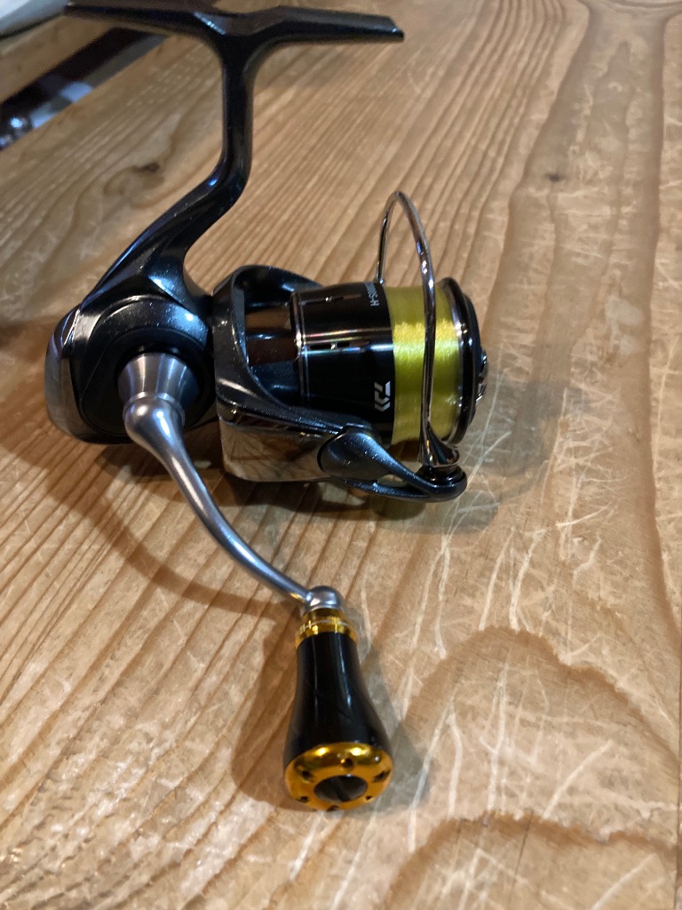 DAIWA（釣り） 24 ルビアス LT2000S-H スピニングリール - 最安値
