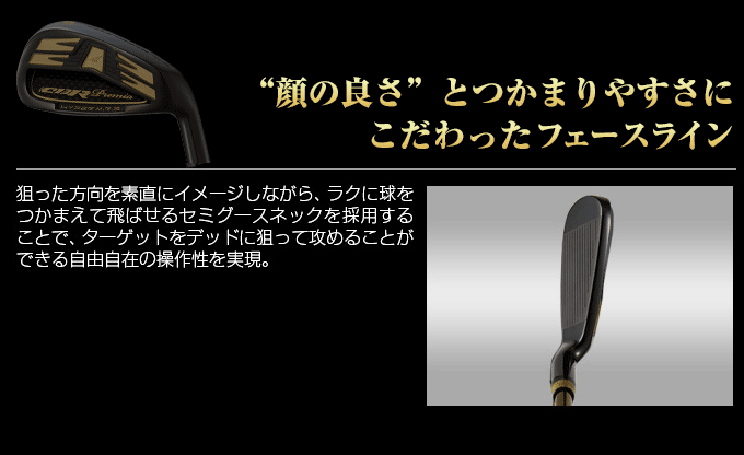 ワークスゴルフ ゴルフ パーツ アイアン ヘッド単体 #5 #6 #7 #8 #9 PW