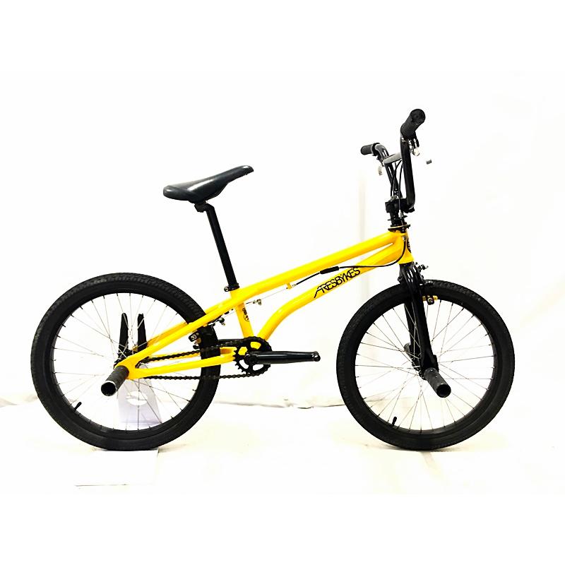 アーレスバイク ARES BIKES アシュラ ASHURA 20インチ フラットランド